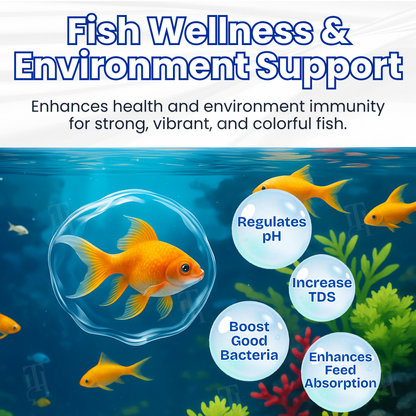 Rekulo® Aqua-Guardian Pro Formula🐟 From Swampy Green to Crystal Clear – Without the Chemicals